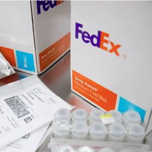 Sample Shipment (From China)