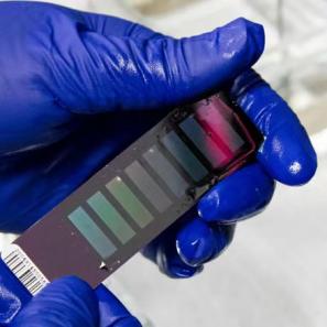 Whole Genome Bisulfite Sequencing