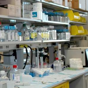 Immuno Repertoire Sequencing