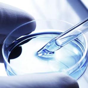 PCR Cloning and Mutagenesis