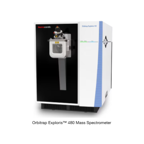 Untargeted Metabolomics